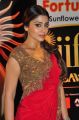 Shriya Saran @ IIFA Utsavam 2015 Green Carpet Stills