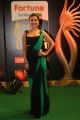 Isha Talwar @ IIFA Utsavam 2015 Green Carpet Stills