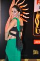 Isha Talwar @ IIFA Utsavam 2015 Green Carpet Stills