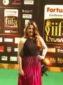 Roma @ IIFA Utsavam 2015 Green Carpet Stills