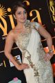 Nikita Thukral @ IIFA Utsavam 2015 Green Carpet Stills