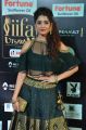 Actress Ritika Singh @ IIFA Utsavam 2017 Green Carpet (Day 1) Photos