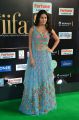Actress Amyra Dastur @ IIFA Utsavam 2017 Green Carpet (Day 1) Photos