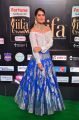 Actress Raashi Khanna @ IIFA Utsavam 2017 Green Carpet (Day 1) Photos