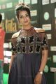 Actress Sanjana @ IIFA Utsavam 2017 Green Carpet (Day 1) Photos