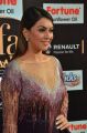 Actress Hansika Motwani @ IIFA Utsavam 2017 Green Carpet (Day 1) Photos