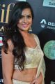 Prjna @ 3IIFA Utsavam 2017 Green Carpet (Day 1) Photos