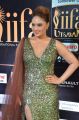 Actress Nikesha Patel @ IIFA Utsavam 2017 Green Carpet (Day 1) Photos