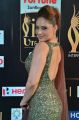 Actress Nikesha Patel @ IIFA Utsavam 2017 Green Carpet (Day 1) Photos