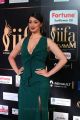 Actress Lakshmi Rai @ IIFA Utsavam 2017 Green Carpet (Day 1) Photos