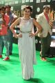 Actress Nikki Galrani @ IIFA Utsavam 2017 Green Carpet (Day 1) Photos