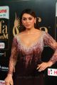 Actress Hansika Motwani @ IIFA Utsavam 2017 Green Carpet (Day 1) Photos