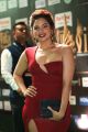 Actress Natah @ IIFA Utsavam 2017 Green Carpet (Day 1) Photos