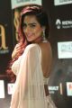 Prjna @ 3IIFA Utsavam 2017 Green Carpet (Day 1) Photos