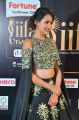 Actress Pragya Jaiswal @ IIFA Utsavam 2017 Green Carpet (Day 1) Photos