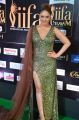 Actress Nikesha Patel @ IIFA Utsavam 2017 Green Carpet (Day 1) Photos