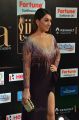 Actress Hansika Motwani @ IIFA Utsavam 2017 Green Carpet (Day 1) Photos