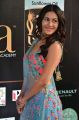 Actress Amyra Dastur @ IIFA Utsavam 2017 Green Carpet (Day 1) Photos