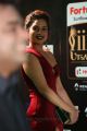 Actress Natah @ IIFA Utsavam 2017 Green Carpet (Day 1) Photos