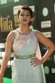 Actress Nikki Galrani @ IIFA Utsavam 2017 Green Carpet (Day 1) Photos