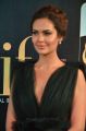 Actress Esha Gupta @ IIFA Utsavam 2017 Green Carpet (Day 1) Photos