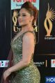 Actress Nikesha Patel @ IIFA Utsavam 2017 Green Carpet (Day 1) Photos