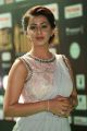 Actress Nikki Galrani @ IIFA Utsavam 2017 Green Carpet (Day 1) Photos