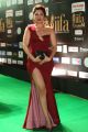 Actress Natah @ IIFA Utsavam 2017 Green Carpet (Day 1) Photos