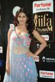 Actress Amyra Dastur @ IIFA Utsavam 2017 Green Carpet (Day 1) Photos