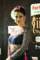 Actress Lakshmi Rai @ IIFA Utsavam 2017 Green Carpet (Day 2) Images