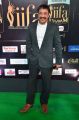 Raj Kandukuri @ IIFA Utsavam 2017 Green Carpet (Day 2) Images