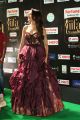 Actress Pragya Jaiswal @ IIFA Utsavam 2017 Green Carpet (Day 2) Images