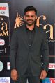 Actor Sai Dharam Tej @ IIFA Utsavam 2017 Green Carpet (Day 2) Images