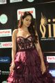 Actress Pragya Jaiswal @ IIFA Utsavam 2017 Green Carpet (Day 2) Images