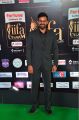 Actor Sai Dharam Tej @ IIFA Utsavam 2017 Green Carpet (Day 2) Images