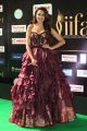 Actress Pragya Jaiswal @ IIFA Utsavam 2017 Green Carpet (Day 2) Images