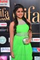 Actress Anupama Parameswaran @ IIFA Utsavam 2017 Green Carpet (Day 2) Images