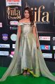 IIFA Utsavam 2017 Green Carpet (Day 2) Pictures