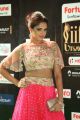 Actress Asmita Sood @ IIFA Utsavam 2017 Green Carpet (Day 2) Pictures