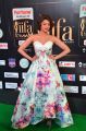 Actress Pranitha Subhash @ IIFA Utsavam 2017 Green Carpet (Day 2) Pictures