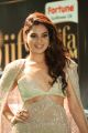 Actress Tanya Hope @ IIFA Utsavam 2017 Green Carpet (Day 2) Pictures