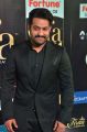 Actor Jr NTR @ IIFA Utsavam 2017 Green Carpet (Day 2) Pictures