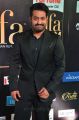 Actor Jr NTR @ IIFA Utsavam 2017 Green Carpet (Day 2) Pictures