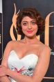 Actress Pranitha Subhash @ IIFA Utsavam 2017 Green Carpet (Day 2) Pictures