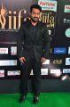 Actor Jr NTR @ IIFA Utsavam 2017 Green Carpet (Day 2) Pictures