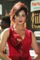 Actress Vidisha Srivastava @ IIFA Utsavam 2017 Green Carpet (Day 2) Pictures