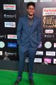 Sundeep Kishan @ IIFA Utsavam 2017 Green Carpet (Day 2) Pictures