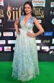 Actress Vimala Raman @ IIFA Utsavam 2017 Green Carpet (Day 2) Pictures