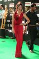 Actress Vidisha Srivastava @ IIFA Utsavam 2017 Green Carpet (Day 2) Pictures