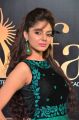 IIFA Utsavam 2017 Green Carpet (Day 2) Pictures